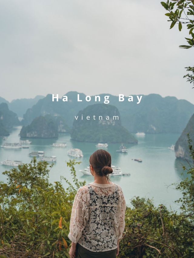 【ベトナム🇻🇳】一度は行きたいベトナムの絶景ハロン湾！