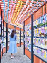 梅雨だから見れる"無料"の映えスポット✨見逃すなであります🫡
