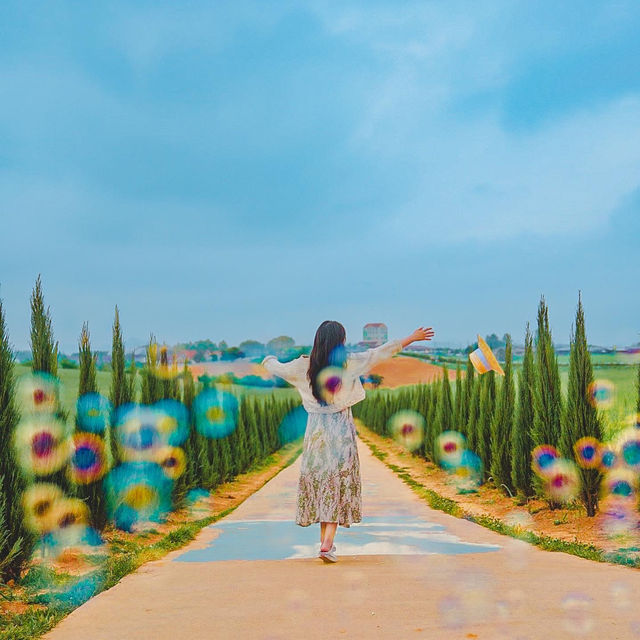 경기도에서 토스카나 즐기기🌈