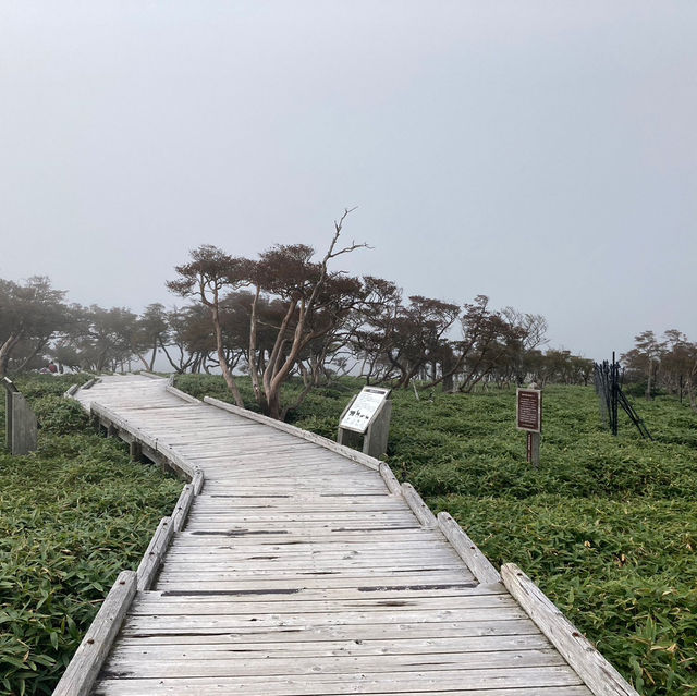 大台ヶ原