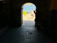 NICE & MONACO 1 day leisure trip with great oyster