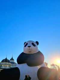 용인🤍 🎠에버랜드🎡