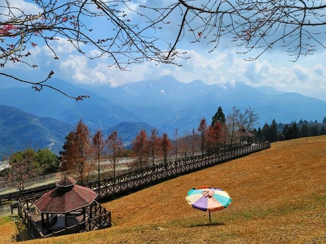 【南投】清境農場旅行～青青草原、小瑞士花園、合歡山日出，享受親子旅行