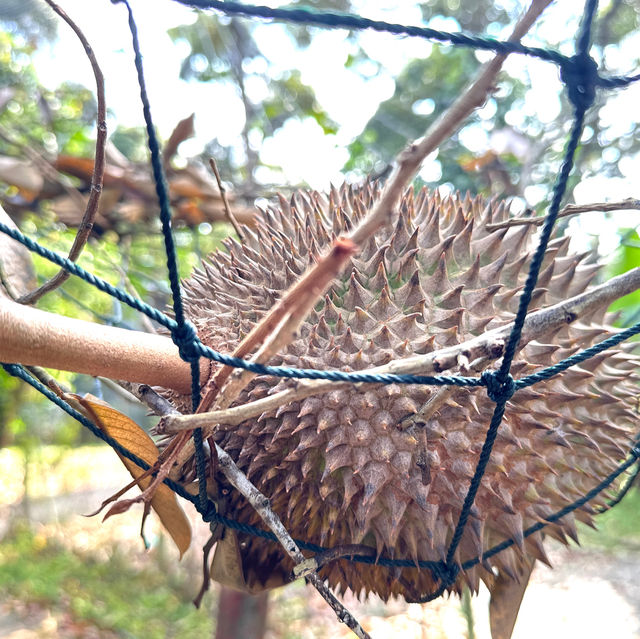 檳城之行:一段充滿人情味之旅行 檳城之行:一段充滿人情味之旅行