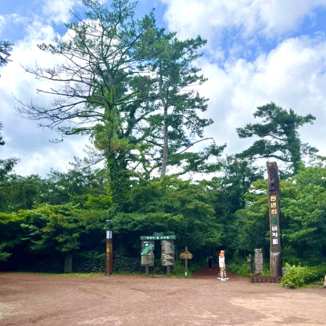 제주 비자림 산책하기 좋은 곳