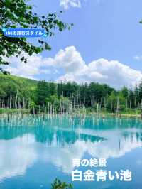 【北海道:美瑛エリア】青の絶景！白金青い池