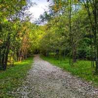 🇲🇾 Explore Urban Greenery: Discover Taman Tugu's Natural Oasis