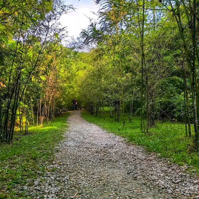🇲🇾 Explore Urban Greenery: Discover Taman Tugu's Natural Oasis