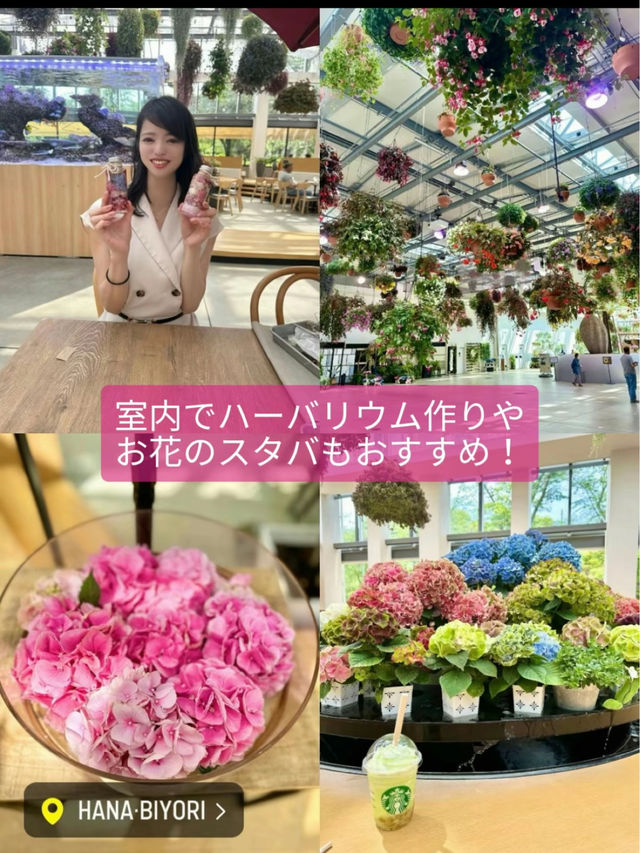 〜東京都〜日本の夏！室内スポット4選！