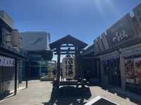 【静岡】穴場海水浴場⛱️大瀬崎