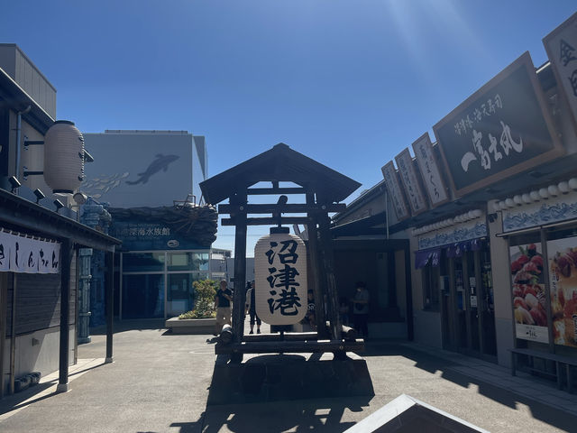 【静岡】穴場海水浴場⛱️大瀬崎