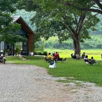 The Enlighten coffee and community