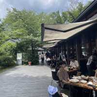 【軽井沢】必ず抑えたい自然を感じられる大人気スポット🌱