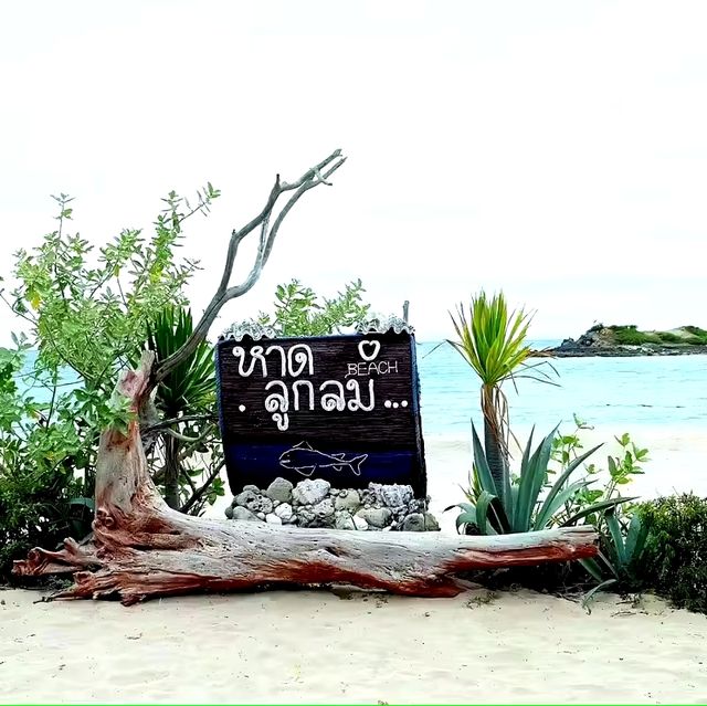 เล่นน้ำที่หาดลูกลม เกาะแสมสาร 