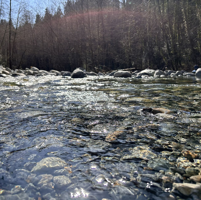 【バンクーバー inカナダ】🇨🇦Lynn Canyon Park 〜カナダの軽井沢〜