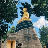 #วัดธรรมสถิต #วัดป่าระยอง #Rayong #บ้านเพ