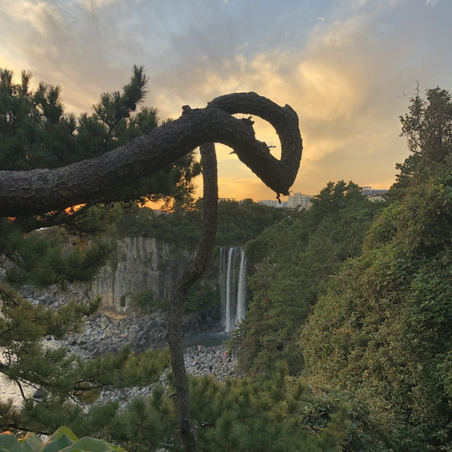 Explore Jeju - Jeongbang Waterfall 🇰🇷