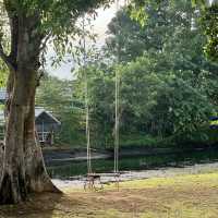 The Tree Riverside ที่พักสวยในอำเภอแก่งกระจาน