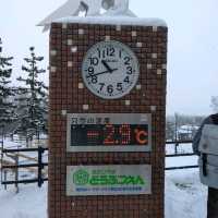 旭川景點｜日本最北、高人氣寒帶動物園—旭川動物園