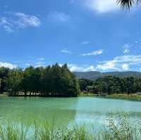 中興湖🎋城市綠洲