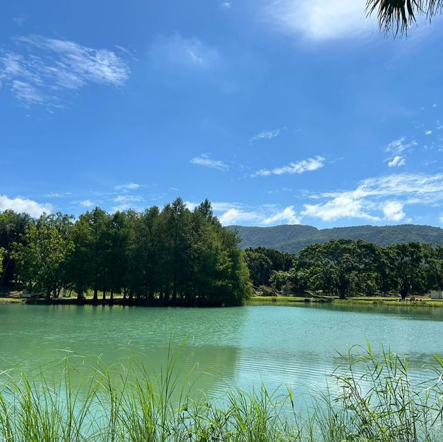 中興湖🎋城市綠洲