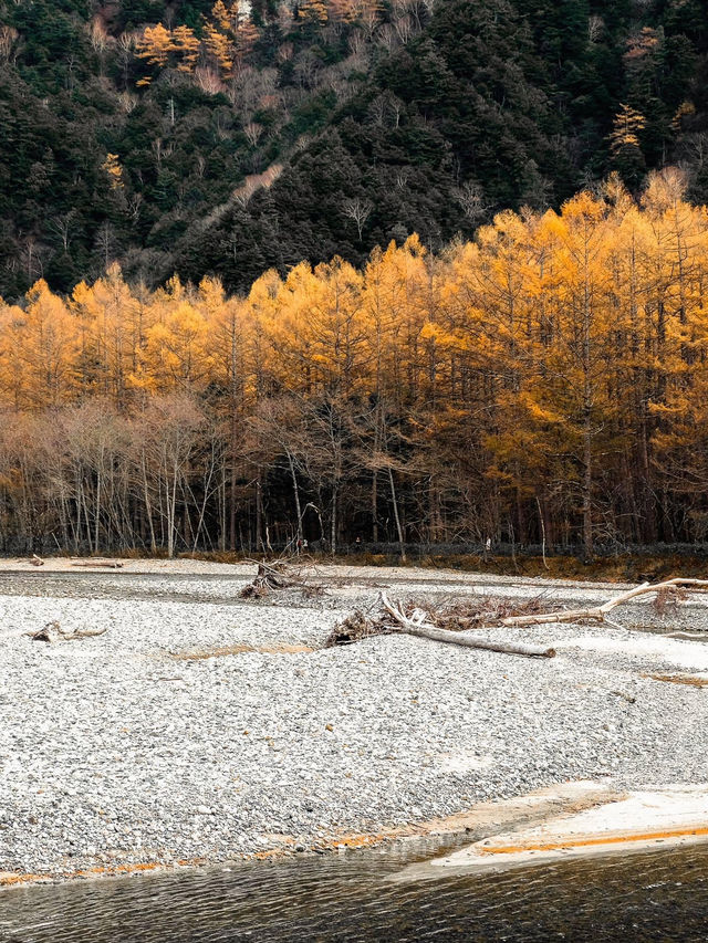 Lost in Kamikochi ในฤดูใบไม้เปลี่ยนสี🍁