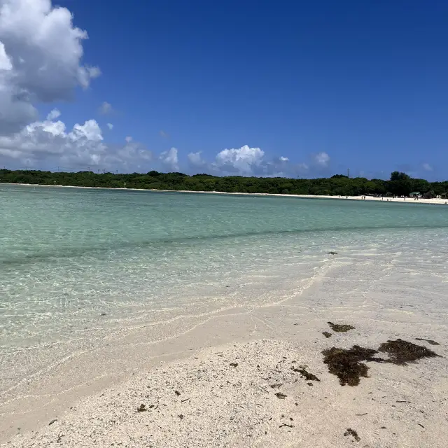 日本最南端🩷🩷🩷竹富島