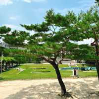 🌲 木場公園🌲城市綠洲🌲