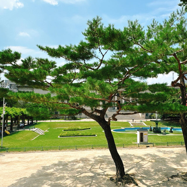 🌲 木場公園🌲城市綠洲🌲