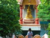 วัดป่าสิริวัฒนวิสุทธิ์ นครสวรรค์