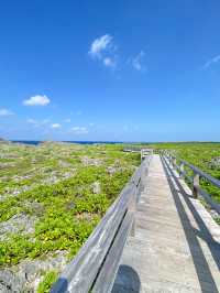 【沖縄 宮古島】ここ、ヤバい！自然が作り出した神秘的な絶景スポット🌊✨