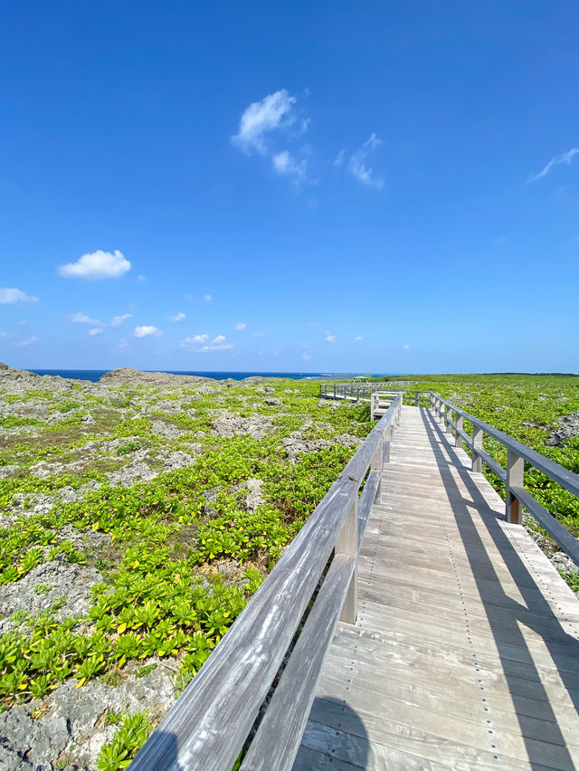 【沖縄 宮古島】ここ、ヤバい！自然が作り出した神秘的な絶景スポット🌊✨