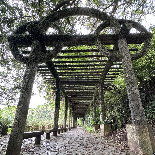［台北］在雲端漫步的陽明山公園