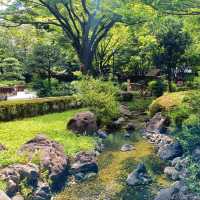 横浜観光おすすめスポット✨横浜公園『彼我公園』