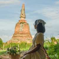 เที่ยวคาเฟ่อยุธยา ถ่ายรูปเล่น ให้อาหารน้องช้าง