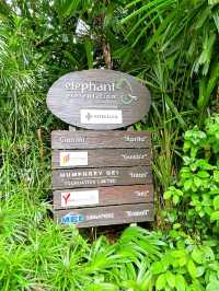 Wild Encounters at Singapore Zoo