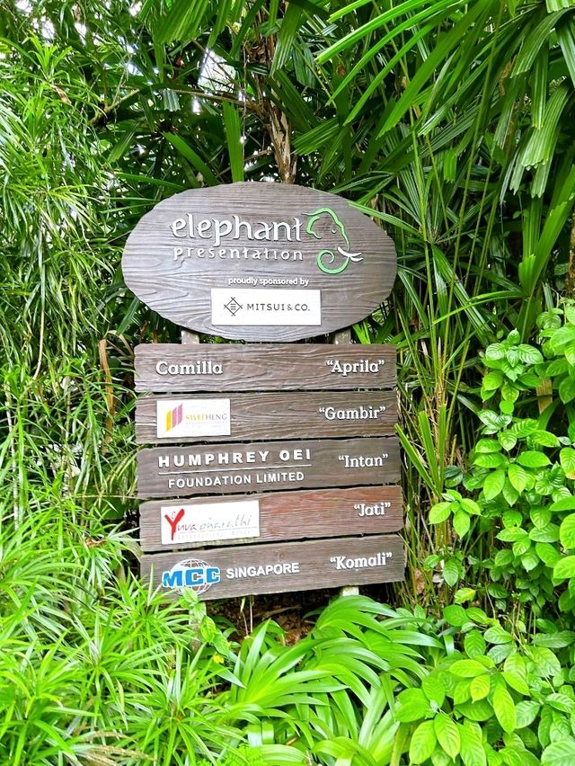 Wild Encounters at Singapore Zoo
