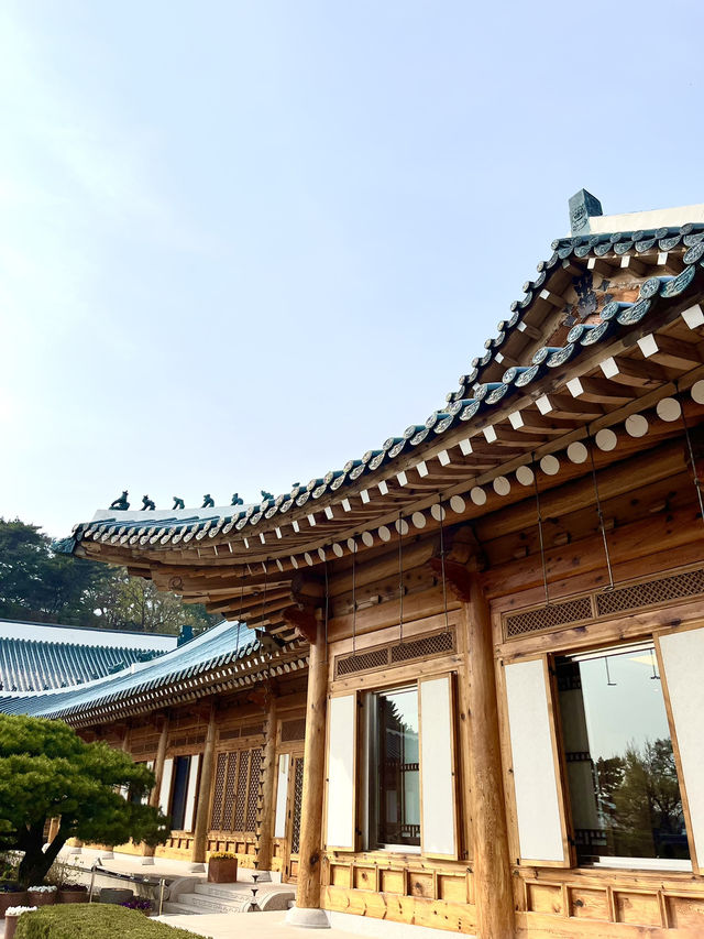 서울 📸사진찍기 좋은곳 - 청와대🔵🏠👑