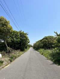 佐久島-アートと自然が融合した島