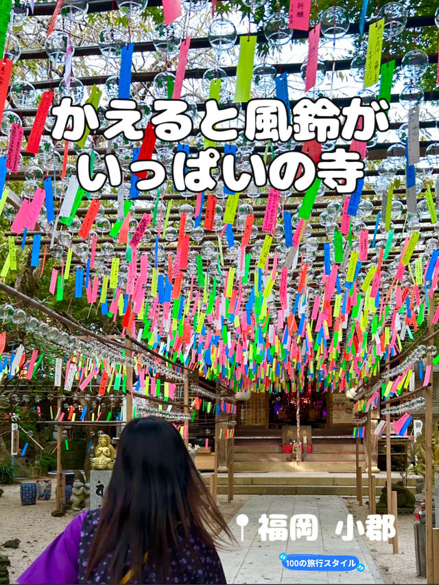 【福岡 小郡】かえると風鈴がいっぱいの寺🐸🎐