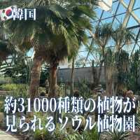 【韓国】約31000種類の植物が見られるソウル植物園🪴