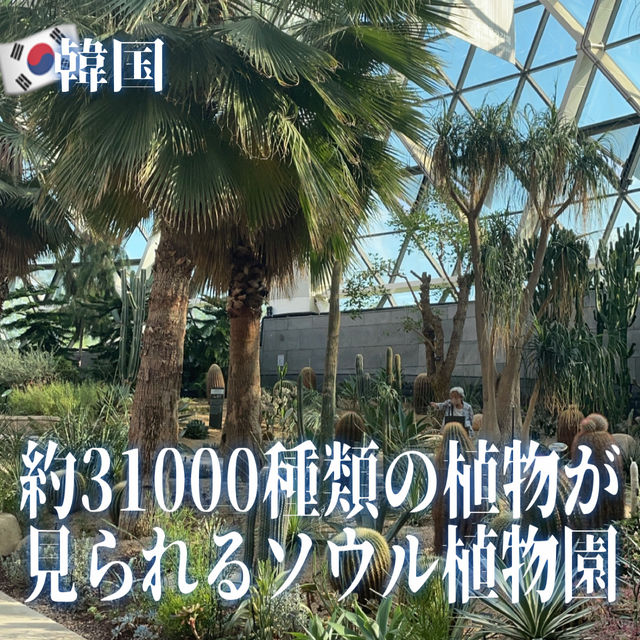 【韓国】約31000種類の植物が見られるソウル植物園🪴