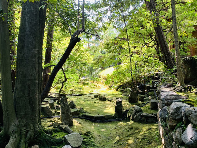 大本山妙心寺