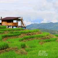 นาขั้นบันได บ้านป่างเปียง เชียงใหม่