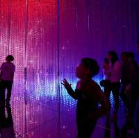 Tokyo Teamlab Borderless
