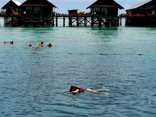 【浮潛聖地】卡帕萊島浮潛遊，仙本那旅行必選項目！Trip.com上預定行程有優惠有保障
