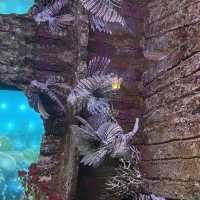 Dive Into Adventure at Aquaria KLCC: An Underwater Journey in the Heart of Kuala Lumpur