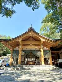 【長崎県】縁結びにご利益ある夫婦クスノキあり
