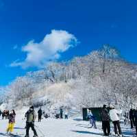 🏂 滑雪天堂：富良野滑雪場🎿