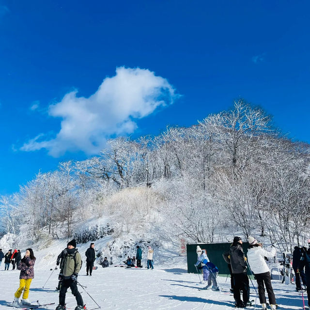🏂 滑雪天堂：富良野滑雪場🎿